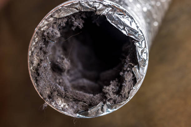 Best HVAC Air Duct Cleaning  in Raintree Plantation, MO