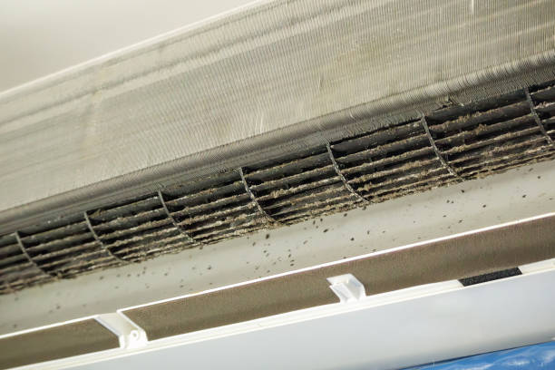 Best Ductwork Cleaning Services  in Raintree Plantation, MO