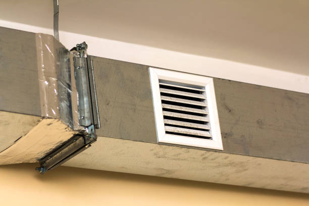 Air Duct Mold Removal in Raintree Plantation, MO